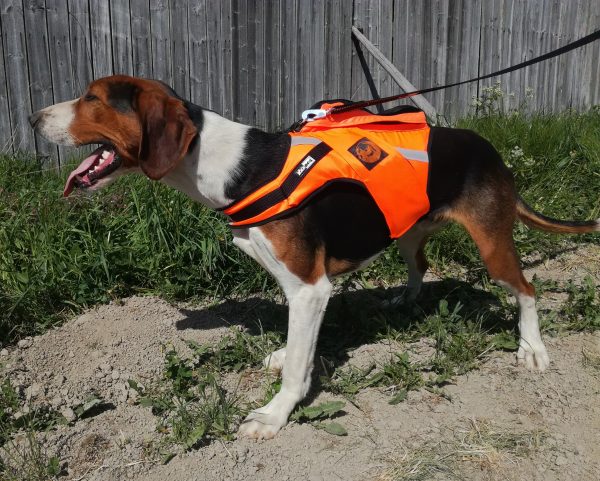 Kardog JEHU - kelluttava GPS-huomioliivi - Huomioliivit koirille - 3950001257330 - 1