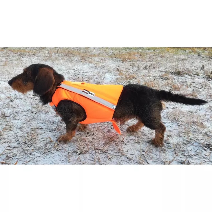 Kardog Ronja kelluttava huomioliivi - Huomioliivit koirille - 3950001278540 - 1