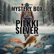 Mystery Box Pilkki Silver - Pilkit ja morrit - 3950001300654 - 1
