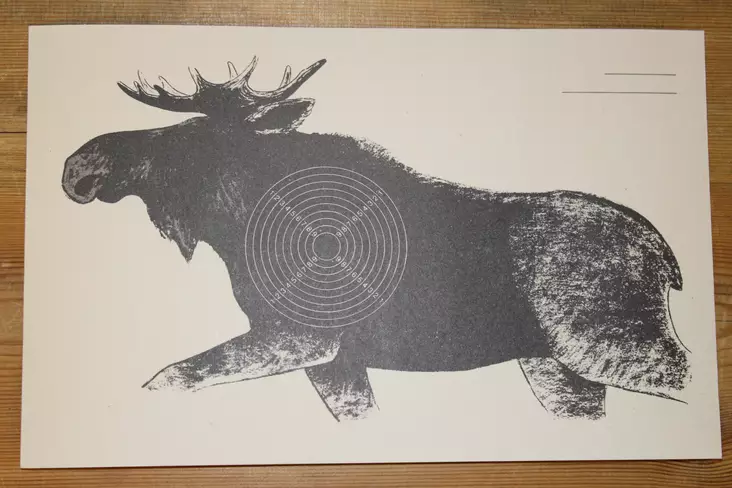 Hirvitaulu Ilmakivääri 17,5x27cm, 100kpl - Ampumatuet ja taulut - 6410362404004 - 1