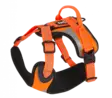  -  -  - 1