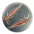 Microbite Arthropod 65mm -jigi - Jigit - 6429810122445 - 1