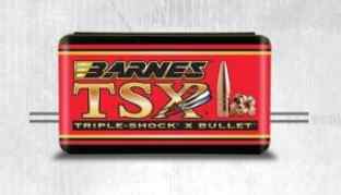 Barnes TSX Luoti .375 300gr/19,4g 50kpl - Luodit ja haulit - 716876375585 - 1
