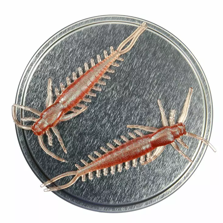 Microbite Arthropod 65mm -jigi - Jigit - 6429810122445 - 1