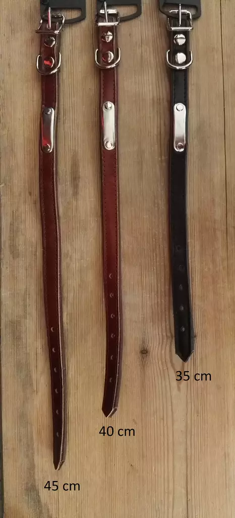 Jokke Pluto Panta Nahkainen, 20 mm - Koiran pannat ja valjaat - 3950001235536 - 1