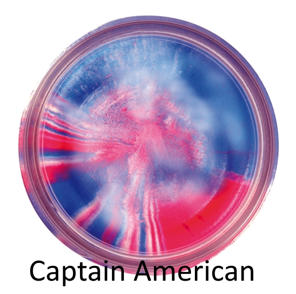 PowerBait Select Glitter Trout Bait Monivärinen syöttitahna - Syötit - 028632094556 - 1