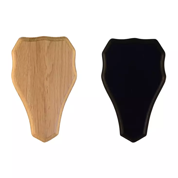 Trofee Taustalevy Kauris 22x13cm - Trofeiden käsittely - 3950001266486 - 1