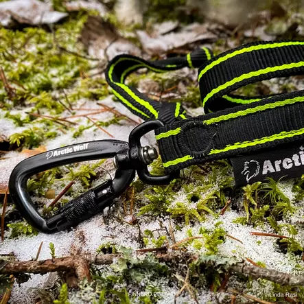 Arctic Wolf POWER joustotalutin - Koiran talutushihnat - 3950001287528 - 1