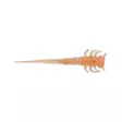 Berkley PowerBait Swordtail 1.25in/3cm - Jigit - 028632000458 - 1