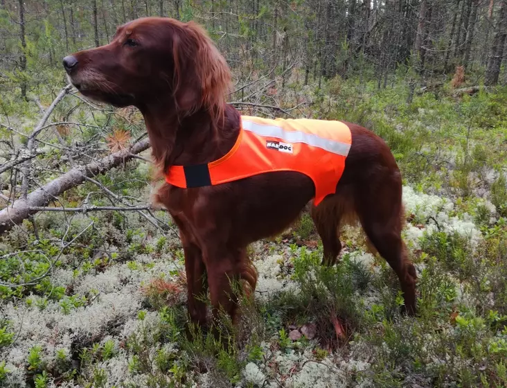Kardog Ruska Huomioliivi, toinen puoli oranssi ja toinen keltainen - Huomioliivit koirille - 3950001258498 - 1