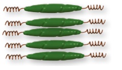 Wiggler Spiraalipaino - Kalastajan työkalut ja tarvikkeet - 7340010370308 - 1