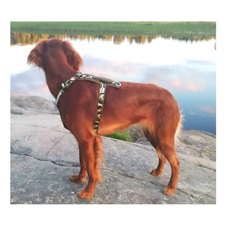 Kardog Hulda koiran valjaat viherä camo - Koiran pannat ja valjaat - 3950001295028 - 1