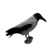 5etta Houkutuskuva Varis - Houkutuskuvat - 7333080035819 - 1