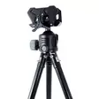 5etta Shooting Rest Steady -ampumatuki - Ampumatuet ja taulut - 7333080084459 - 3