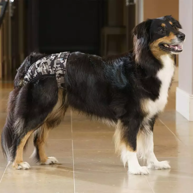 Brenda juoksuhousut, CAMO - Koiran hoito - 3950001287429 - 1