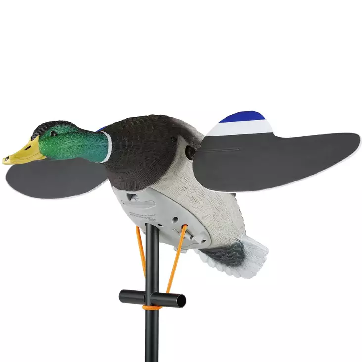 Lucky Duck Junior II 6V Robosorsa - Houkutuskuvat - 605093101179 - 1